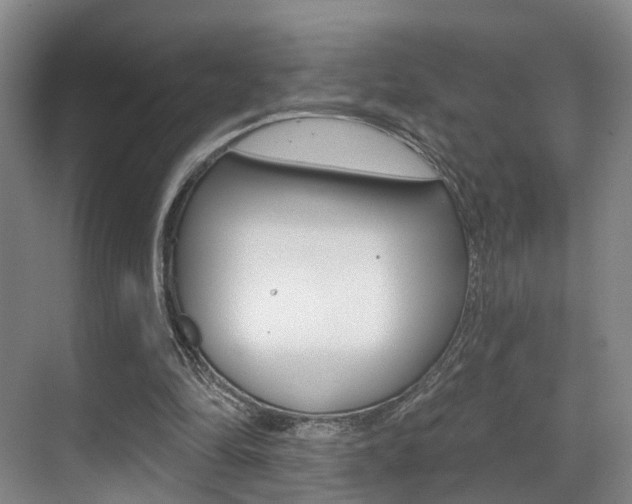 X0000069840294200605191015