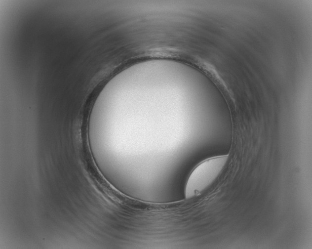 X0000069840299200605191015
