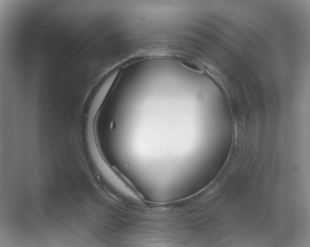 X0000069840301200605191015