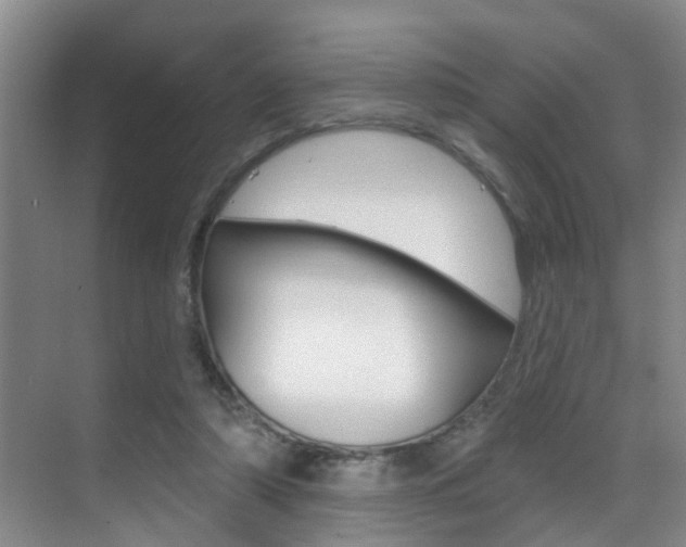 X0000069840306200605191014