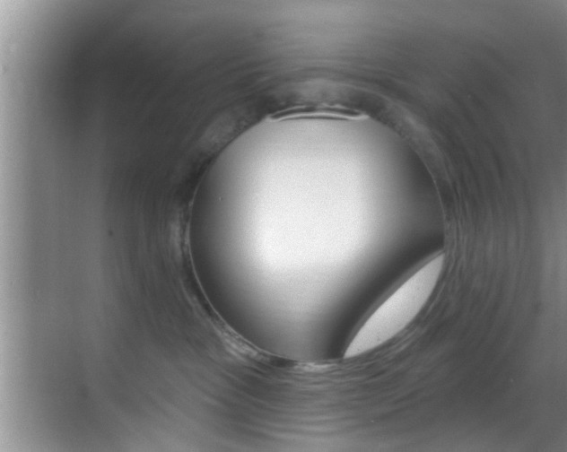 X0000069840333200605191014