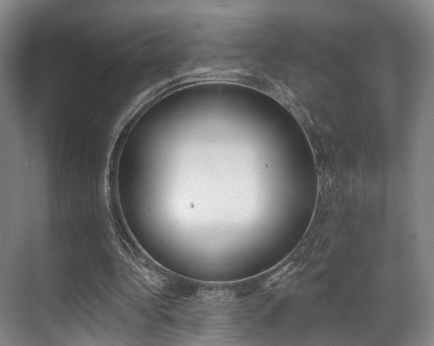 X0000069840340200605191013