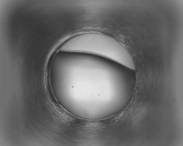 X0000069840342200605191013