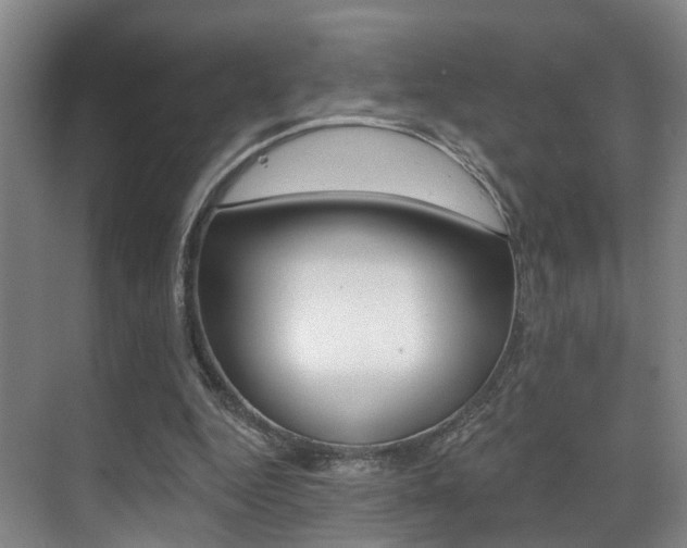 X0000069840344200605191013