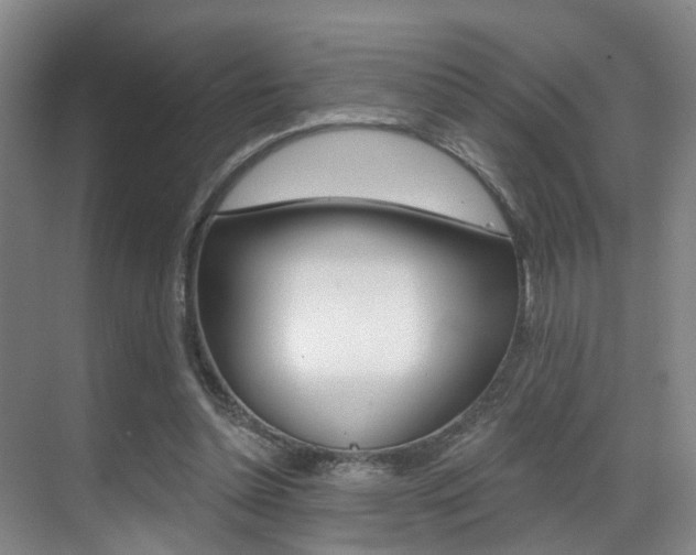 X0000069840348200605191013