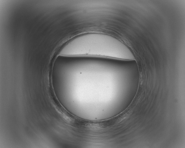 X0000069840349200605191013