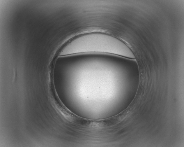 X0000069840350200605191013