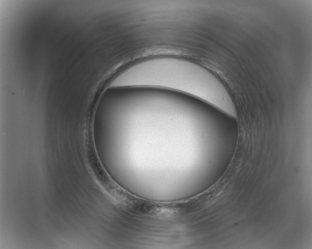 X0000069840352200605191013