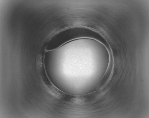 X0000069840356200605191013
