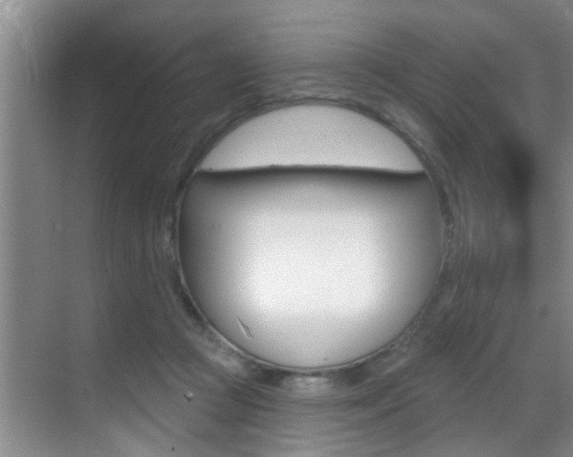 X0000069840361200605191014