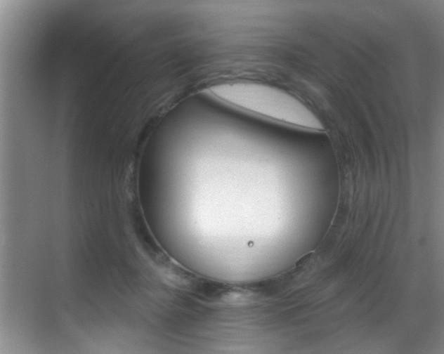 X0000069840364200605191014