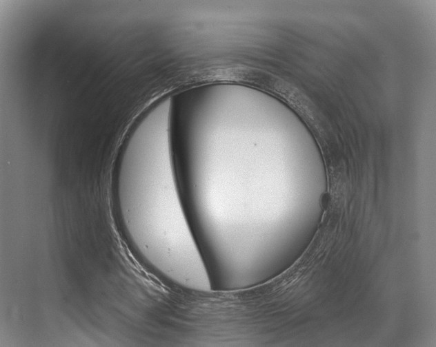 X0000069840386200605191013