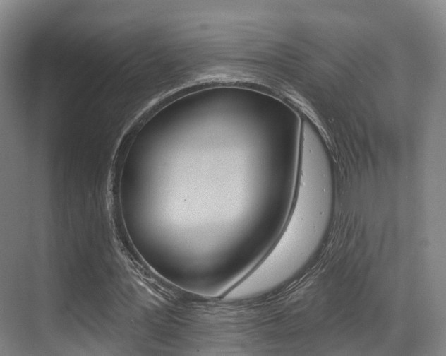 X0000069840387200605191013