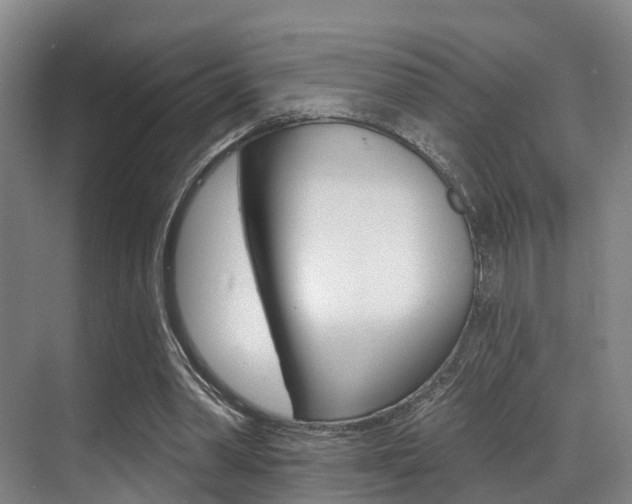 X0000069840390200605191013