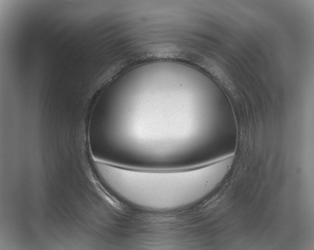 X0000069840397200605191013