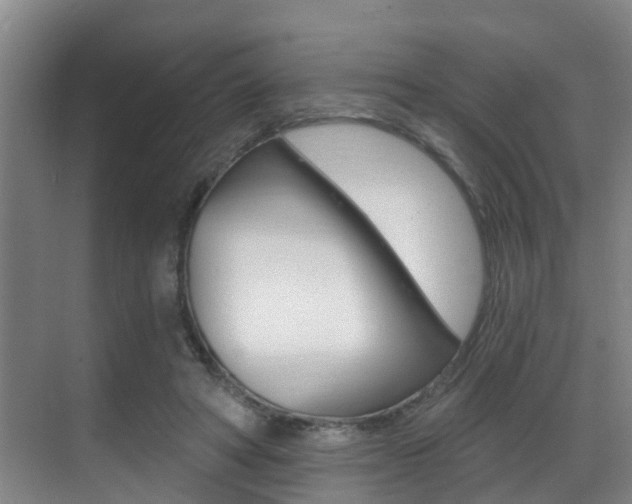 X0000069840402200605191013