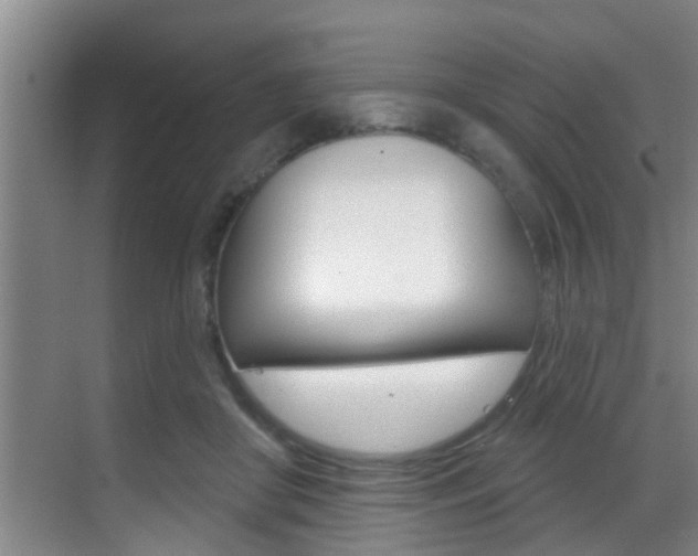 X0000069840410200605191013