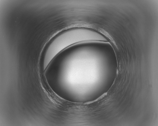 X0000069840436200605191012