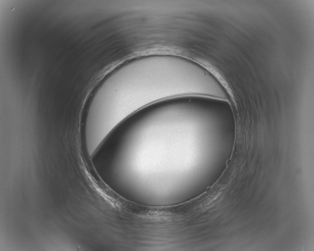 X0000069840437200605191012