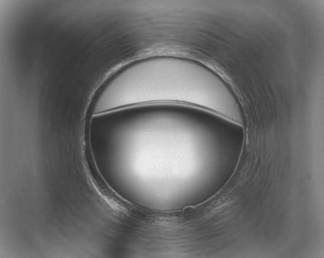 X0000069840438200605191012