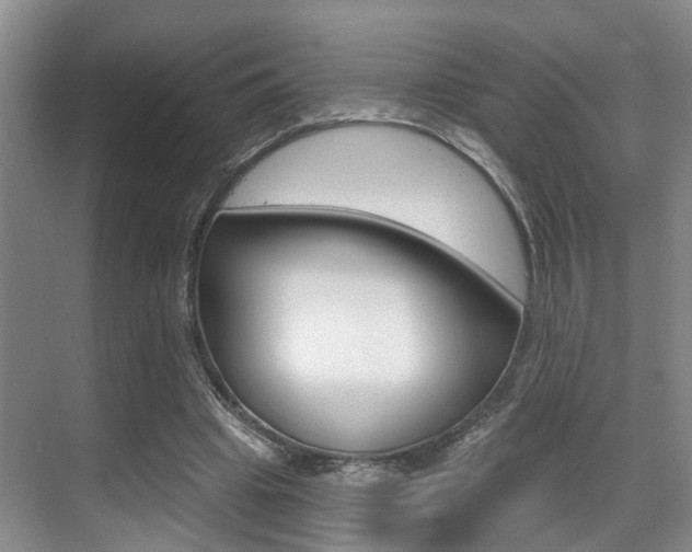 X0000069840441200605191012