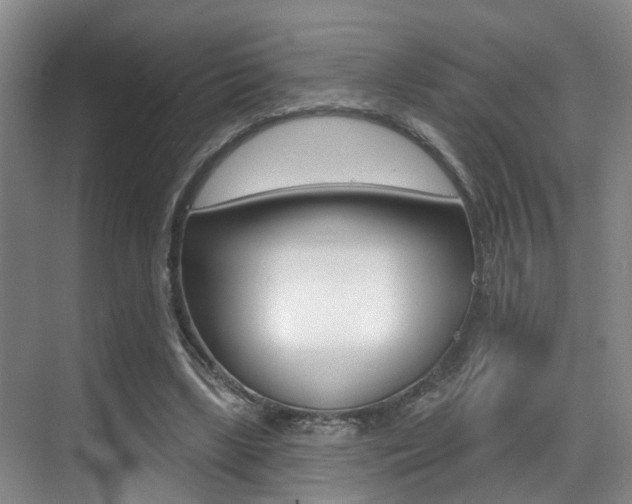 X0000069840443200605191012