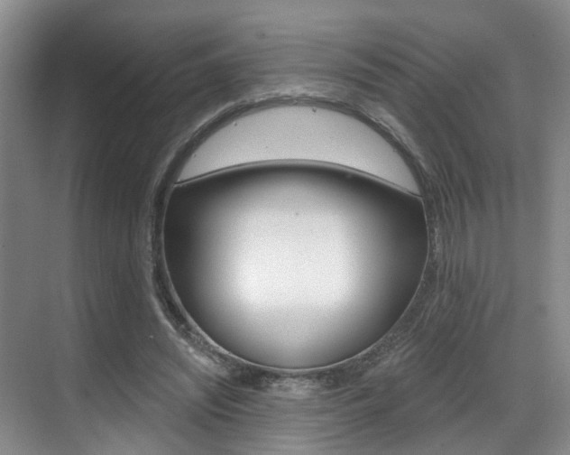 X0000069840444200605191012