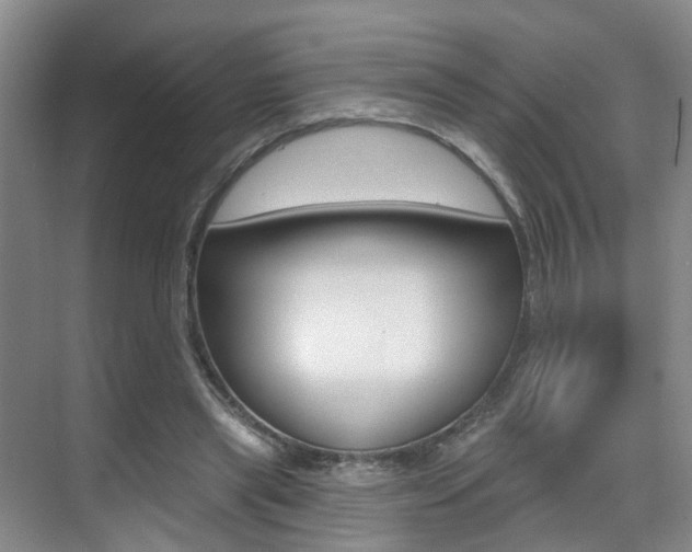 X0000069840445200605191012