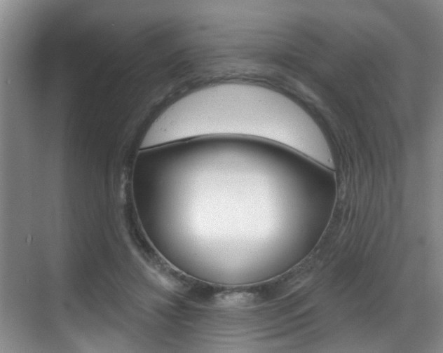 X0000069840452200605191012