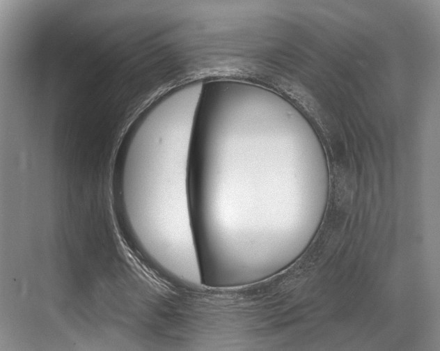X0000069840482200605191012