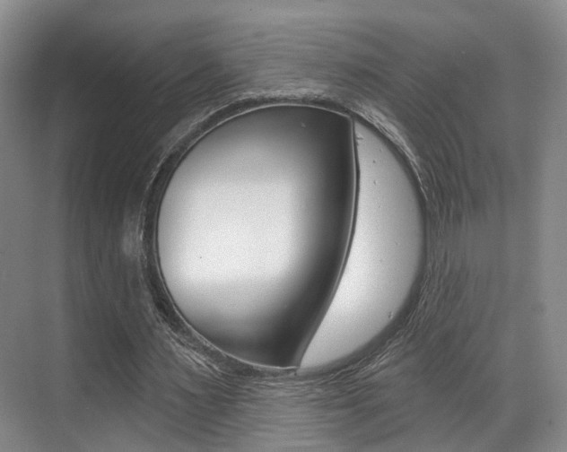 X0000069840483200605191012