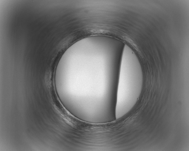 X0000069840490200605191011