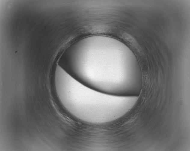 X0000069840491200605191011