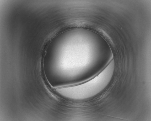 X0000069840493200605191011