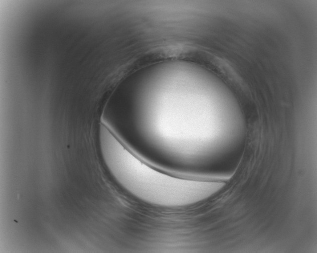 X0000069840505200605191011
