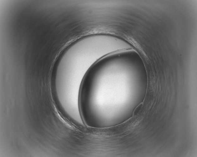 X0000069840530200605191010