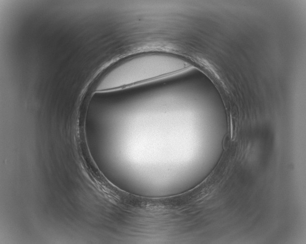 X0000069840531200605191010