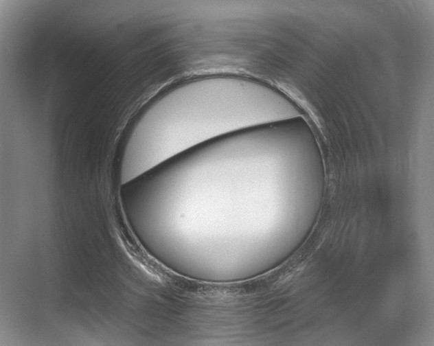 X0000069840533200605191010