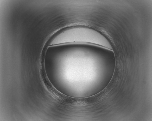 X0000069840536200605191010