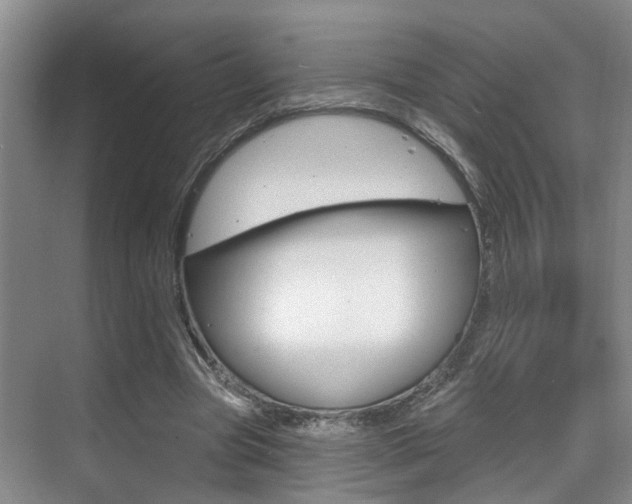 X0000069840537200605191010