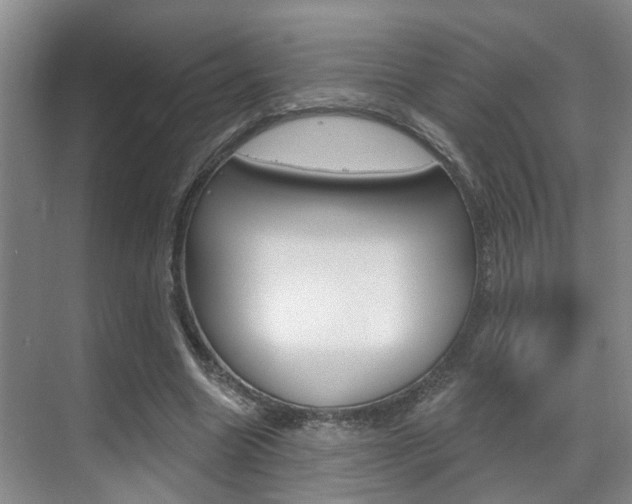X0000069840538200605191010