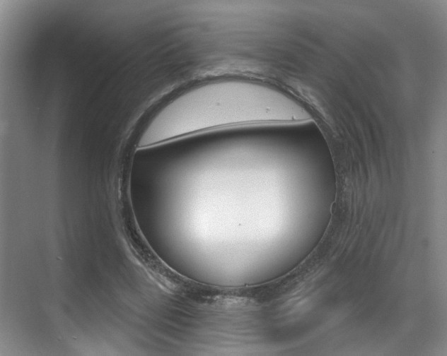 X0000069840539200605191010