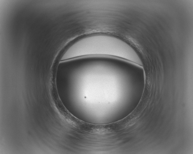 X0000069840540200605191010