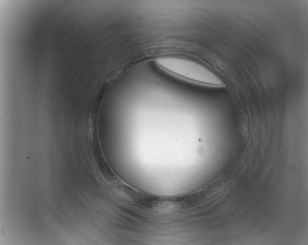 X0000069840551200605191010