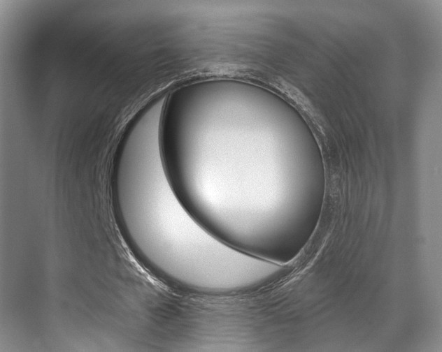 X0000069840577200605191010