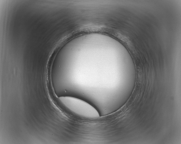 X0000069840582200605191010