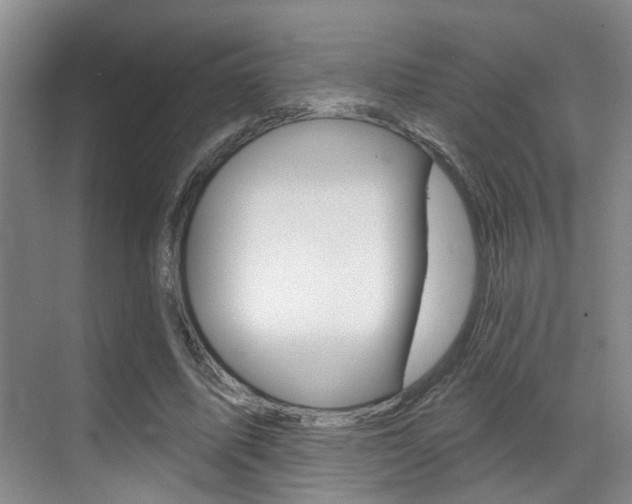 X0000069840587200605191010