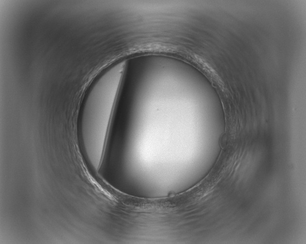 X0000069840625200605191008