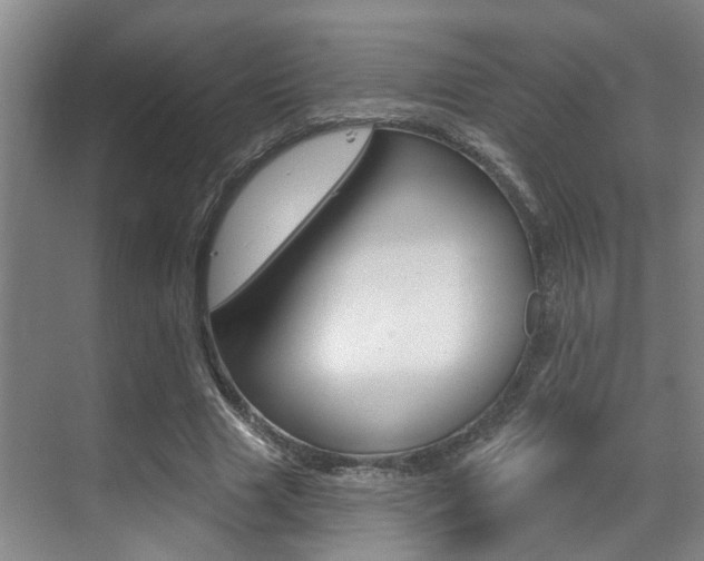 X0000069840633200605191008