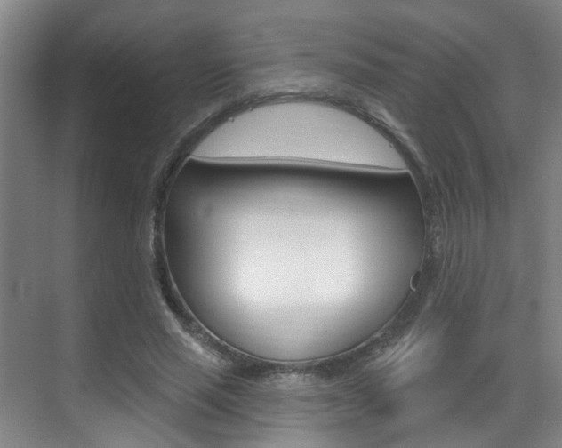 X0000069840637200605191009